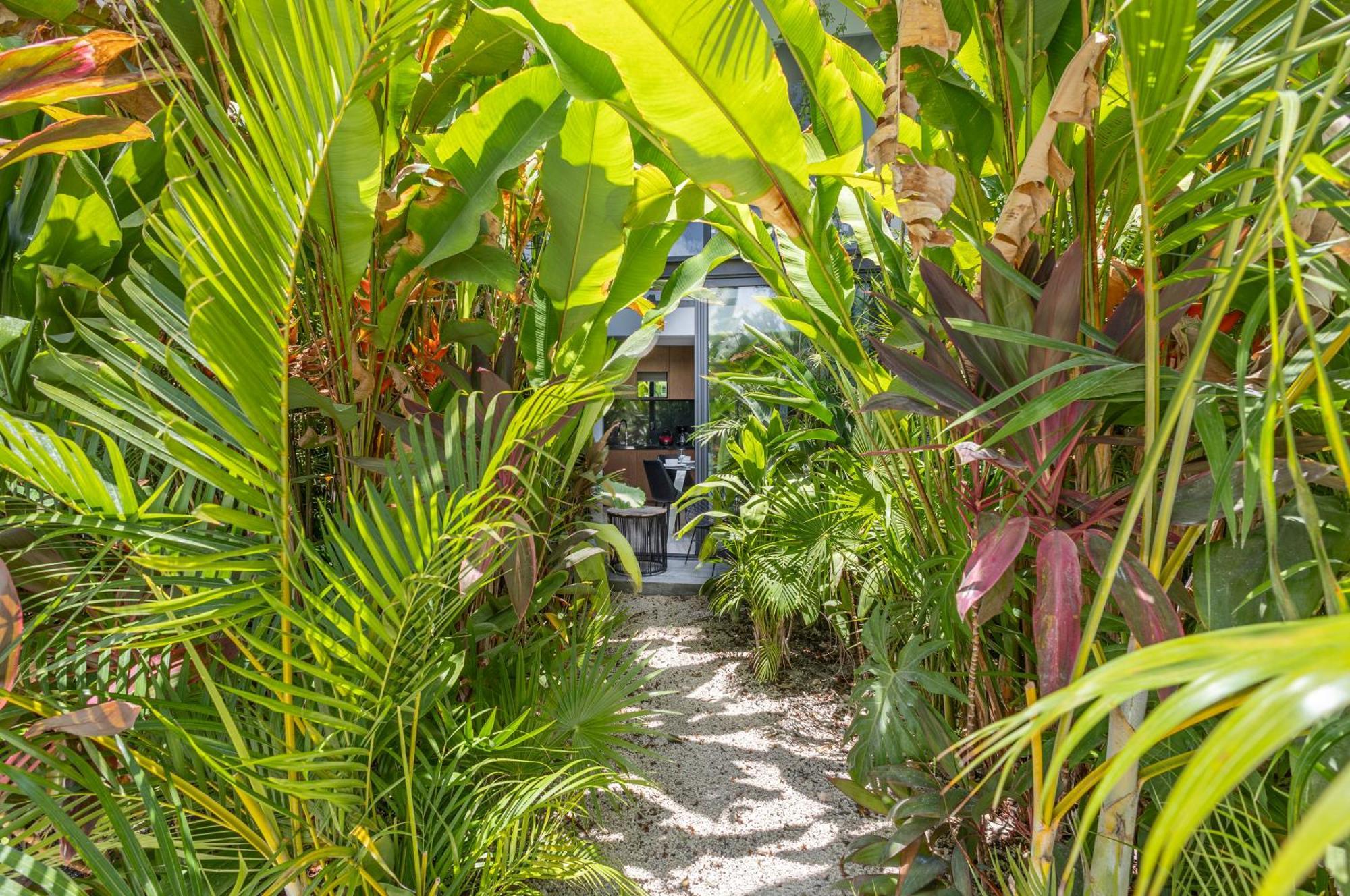 Mistiq Gardens Lejlighed Tulum Eksteriør billede